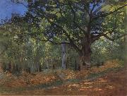 Claude Monet The Bodmer Oak,Forest of Fontainebleau Sweden oil painting artist